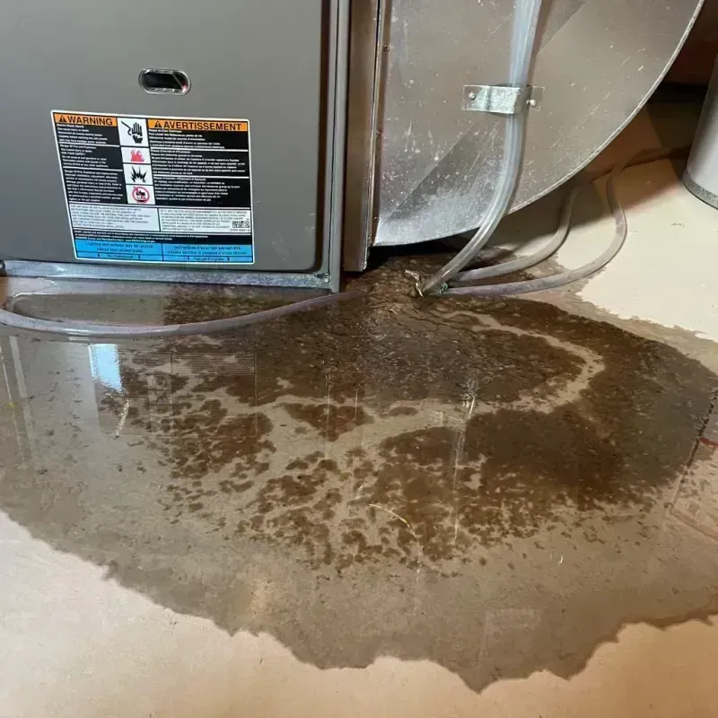 Appliance Leak Cleanup in Salyersville, KY